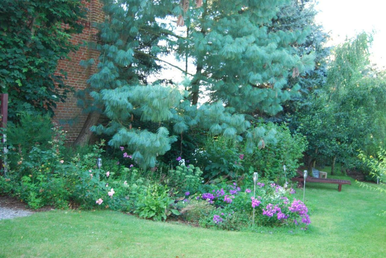 Aronia Ferienhaus