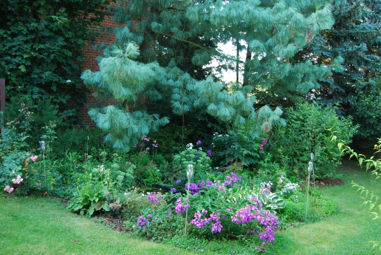 Aronia Ferienhaus *